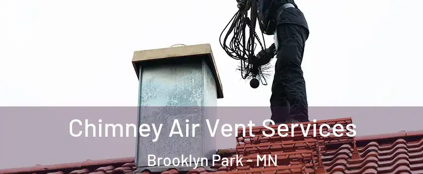  Chimney Air Vent Services Brooklyn Park - MN
