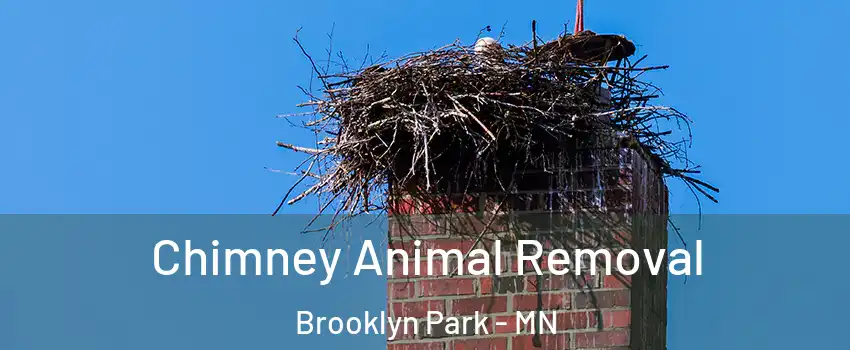  Chimney Animal Removal Brooklyn Park - MN