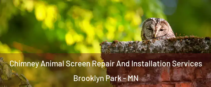  Chimney Animal Screen Repair And Installation Services Brooklyn Park - MN