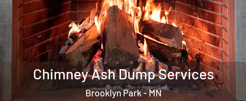  Chimney Ash Dump Services Brooklyn Park - MN
