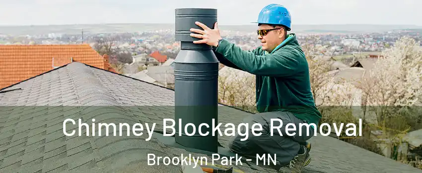  Chimney Blockage Removal Brooklyn Park - MN