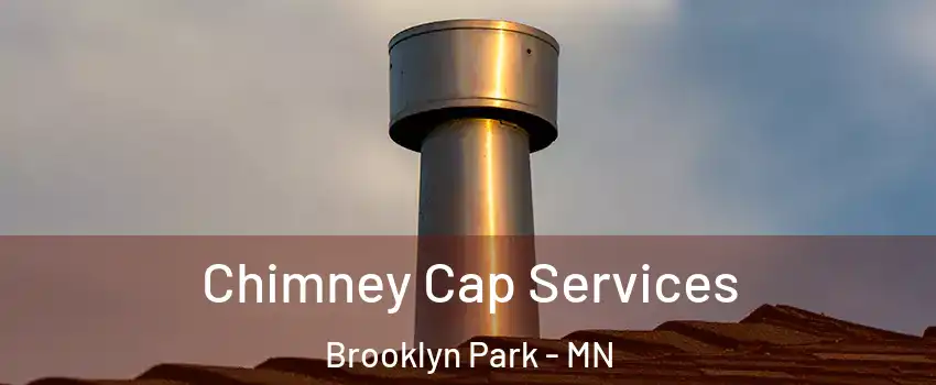  Chimney Cap Services Brooklyn Park - MN
