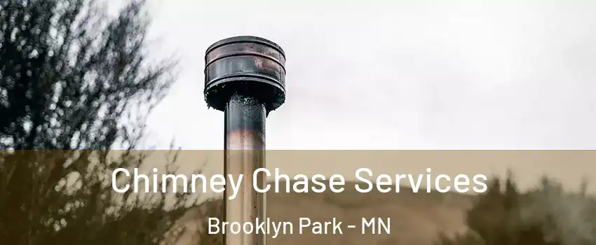  Chimney Chase Services Brooklyn Park - MN