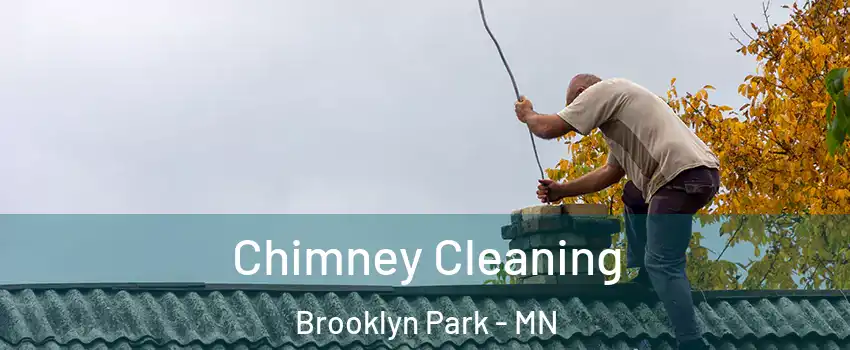  Chimney Cleaning Brooklyn Park - MN