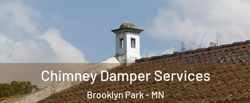  Chimney Damper Services Brooklyn Park - MN