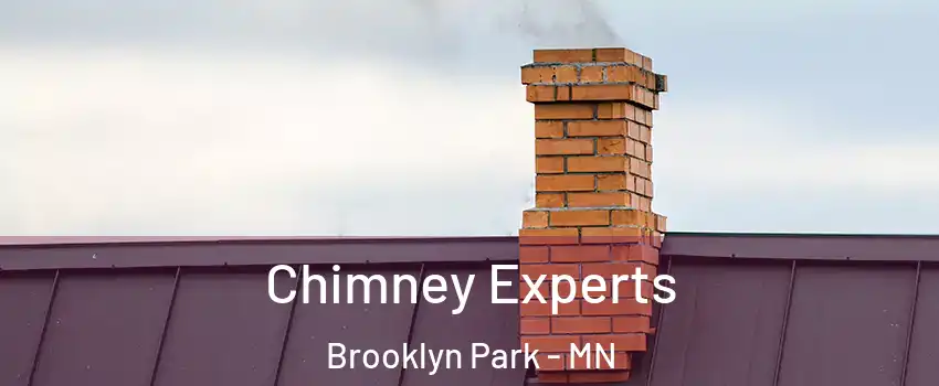  Chimney Experts Brooklyn Park - MN