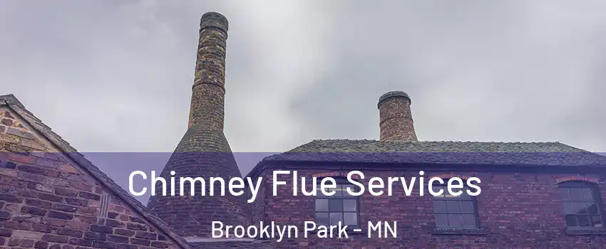  Chimney Flue Services Brooklyn Park - MN