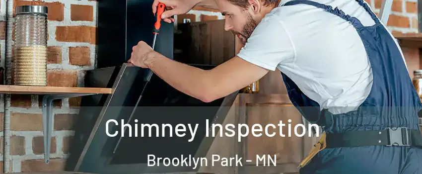  Chimney Inspection Brooklyn Park - MN