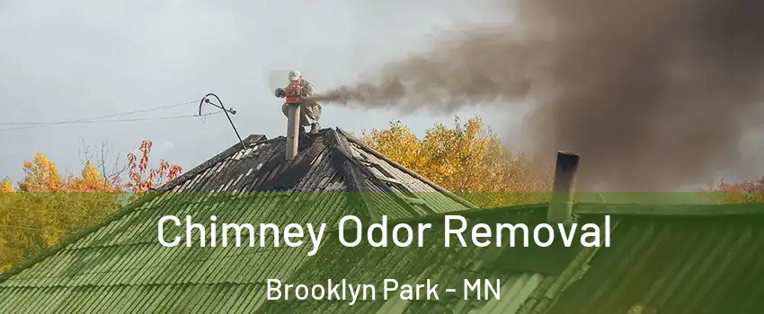  Chimney Odor Removal Brooklyn Park - MN