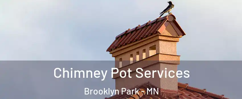  Chimney Pot Services Brooklyn Park - MN