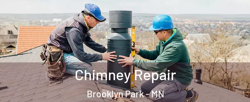  Chimney Repair Brooklyn Park - MN