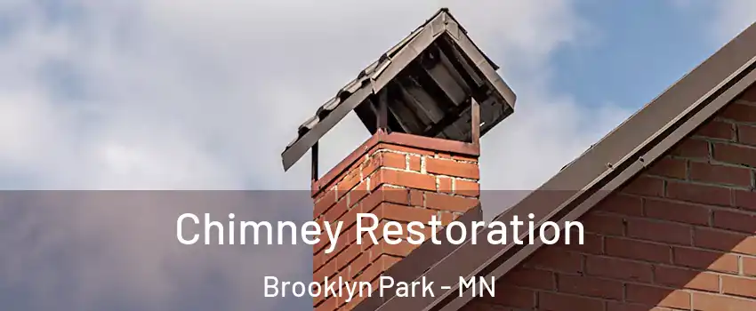  Chimney Restoration Brooklyn Park - MN