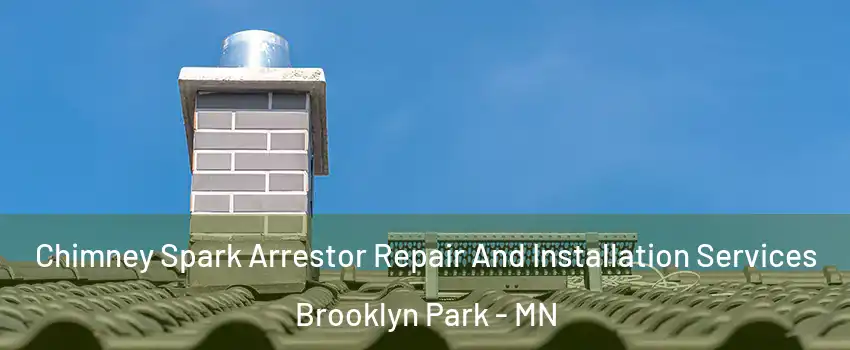  Chimney Spark Arrestor Repair And Installation Services Brooklyn Park - MN