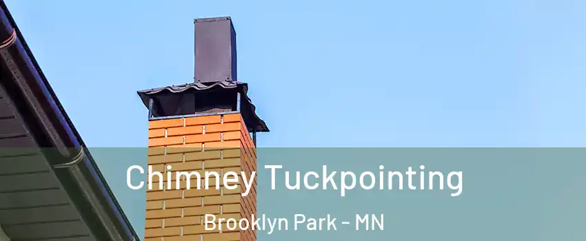  Chimney Tuckpointing Brooklyn Park - MN