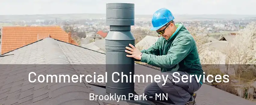  Commercial Chimney Services Brooklyn Park - MN