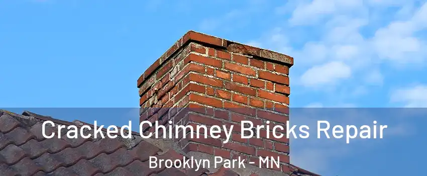  Cracked Chimney Bricks Repair Brooklyn Park - MN