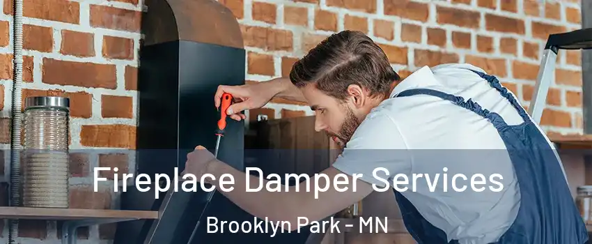  Fireplace Damper Services Brooklyn Park - MN