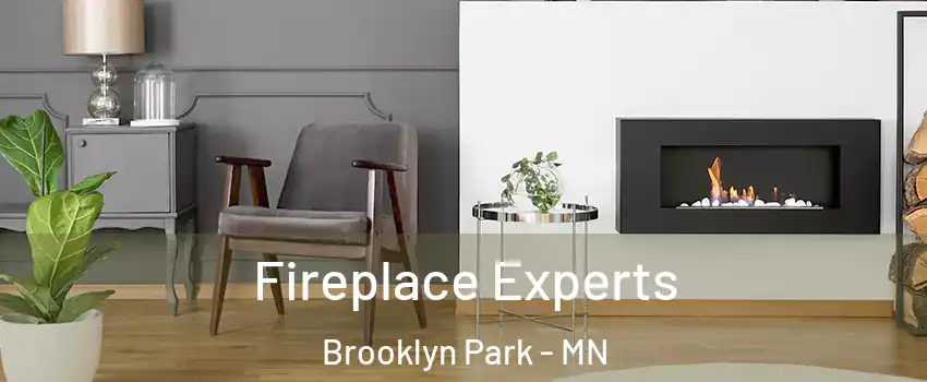  Fireplace Experts Brooklyn Park - MN