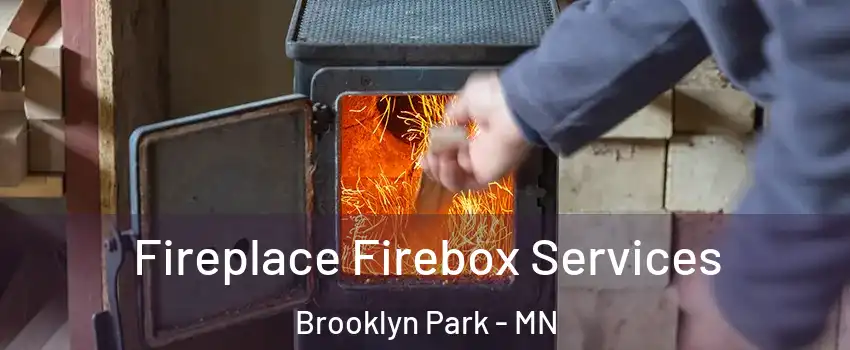  Fireplace Firebox Services Brooklyn Park - MN