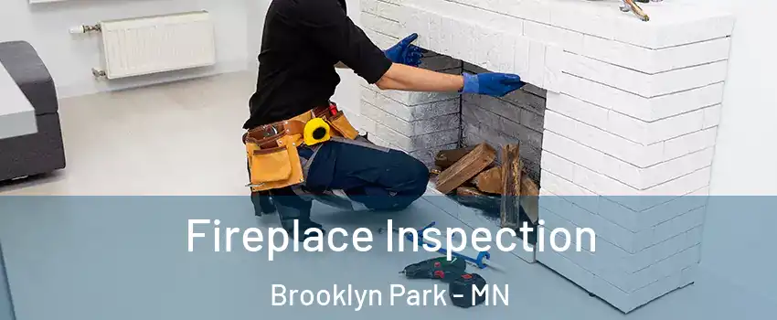  Fireplace Inspection Brooklyn Park - MN