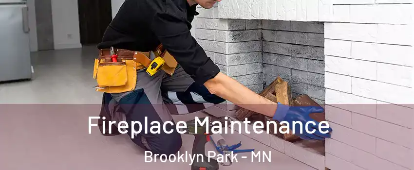  Fireplace Maintenance Brooklyn Park - MN