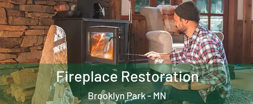 Fireplace Restoration Brooklyn Park - MN