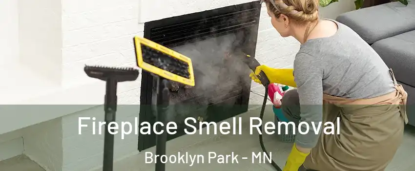  Fireplace Smell Removal Brooklyn Park - MN