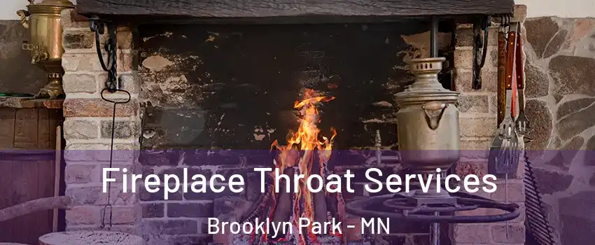  Fireplace Throat Services Brooklyn Park - MN