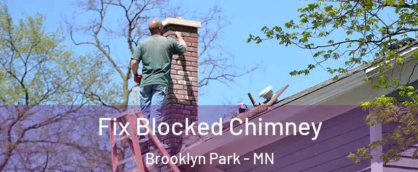  Fix Blocked Chimney Brooklyn Park - MN