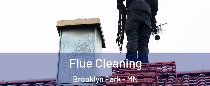 Flue Cleaning Brooklyn Park - MN