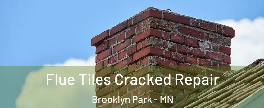  Flue Tiles Cracked Repair Brooklyn Park - MN