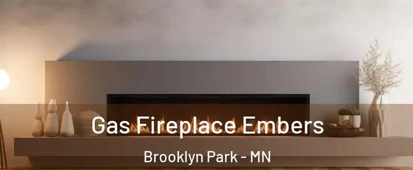  Gas Fireplace Embers Brooklyn Park - MN