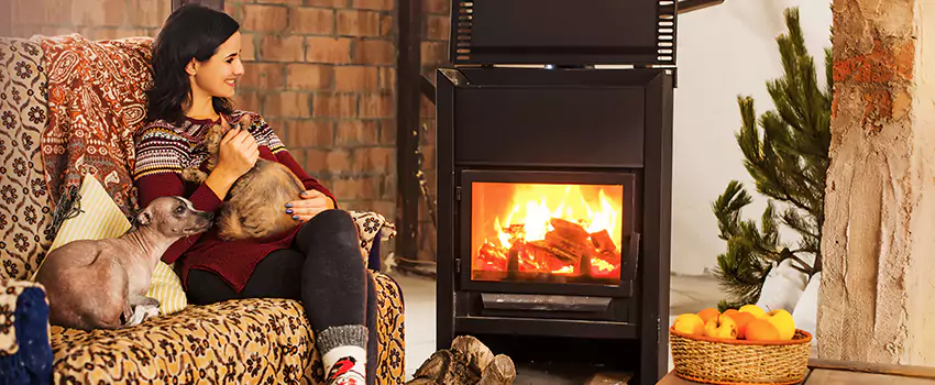 Wood Stove Chimney Cleaning Services in Brooklyn Park, MN
