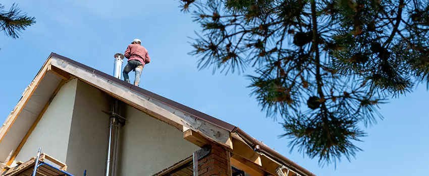 Birds Removal Contractors from Chimney in Brooklyn Park, MN