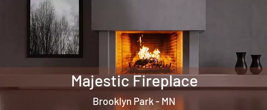  Majestic Fireplace Brooklyn Park - MN