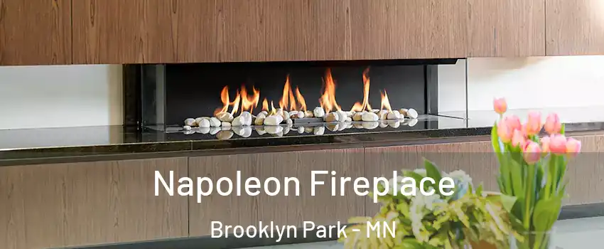  Napoleon Fireplace Brooklyn Park - MN