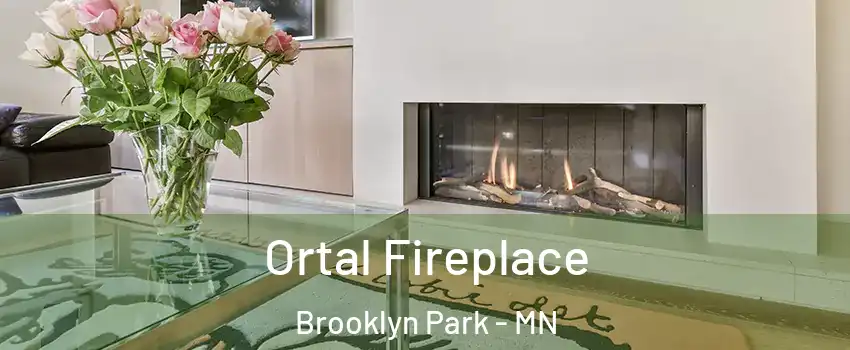  Ortal Fireplace Brooklyn Park - MN