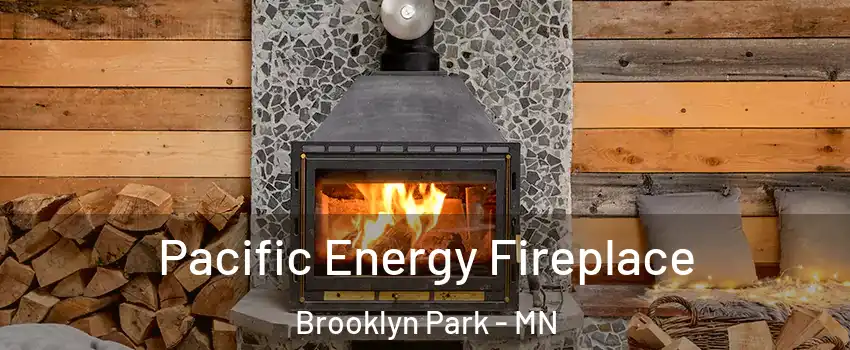  Pacific Energy Fireplace Brooklyn Park - MN