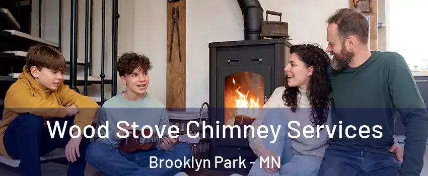  Wood Stove Chimney Services Brooklyn Park - MN